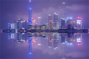 在康吉王国的幸福日子